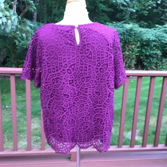 New! Philosophy large plum lace S/S  blouse. - Picture 3 of 7